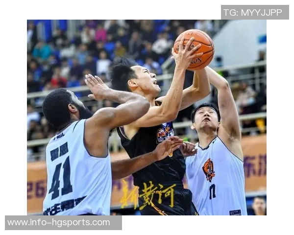 NBL今日战报：石家庄翔蓝险胜山东蜜獾张家口体文旅遭长沙勇胜逆转